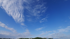 さあ、もち麦飯を炊け、大洗濯日和だ！