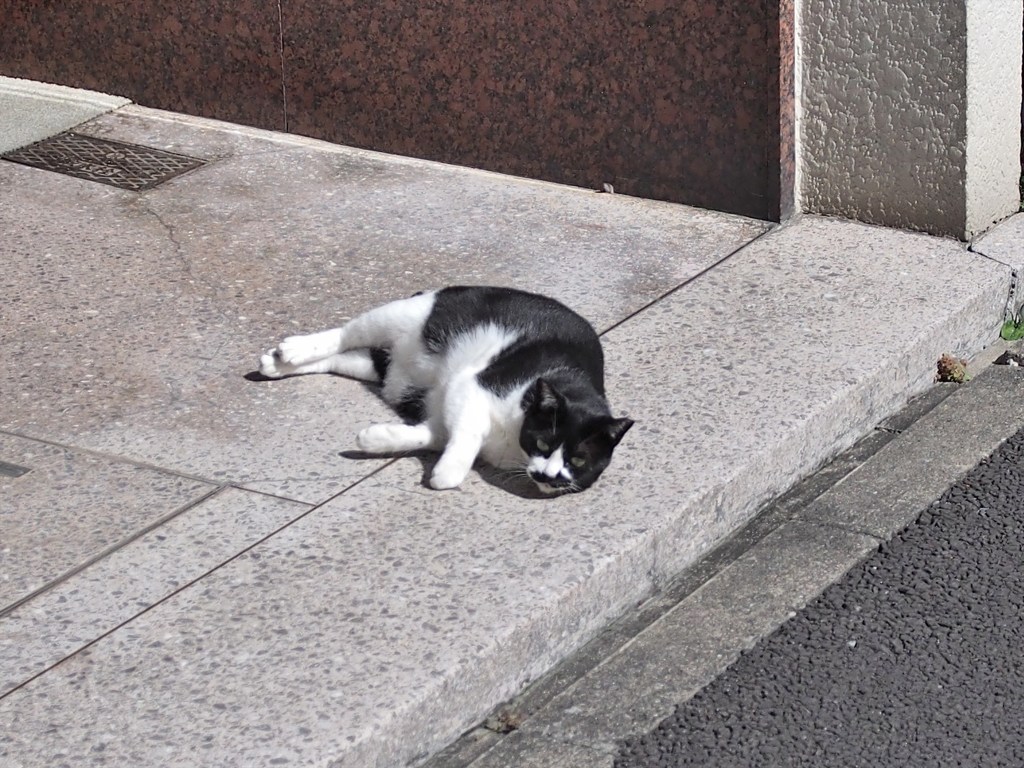 漱石先生－日本橋界隈