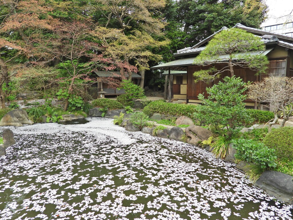 神池庭園