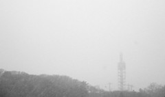 雪かよ！