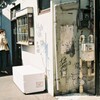マグロ専門店をのぞく