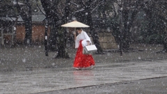 雪の巫女さん