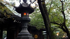 灯がともる