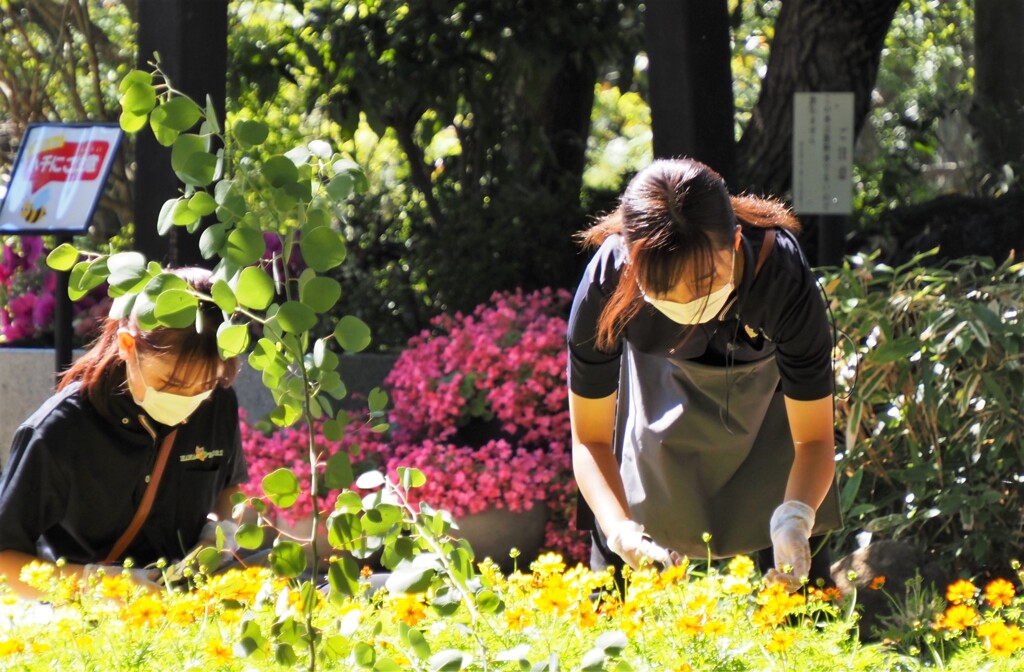 接客態度はトリプルA