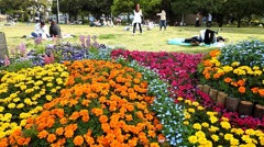 花壇のコンテストやってました