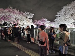 見物客で満員