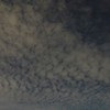 夜の鱗雲