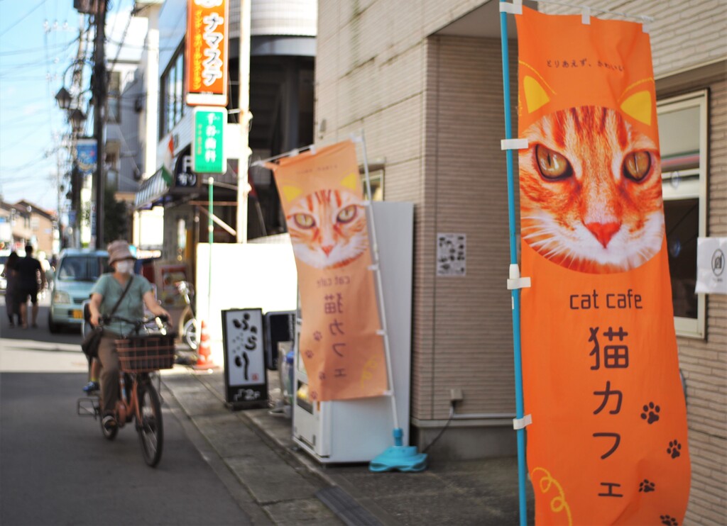 初の猫カフェ