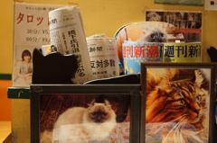 報道写真