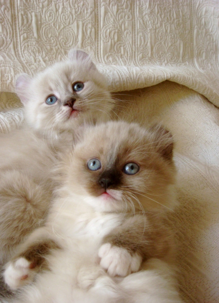 レオとオーちゃん