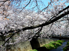 稲城市役所前で