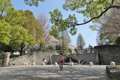 青空と新緑と子供たち