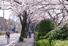 静かな散歩道