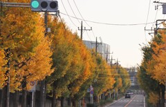 生田スタジオが見えてきた
