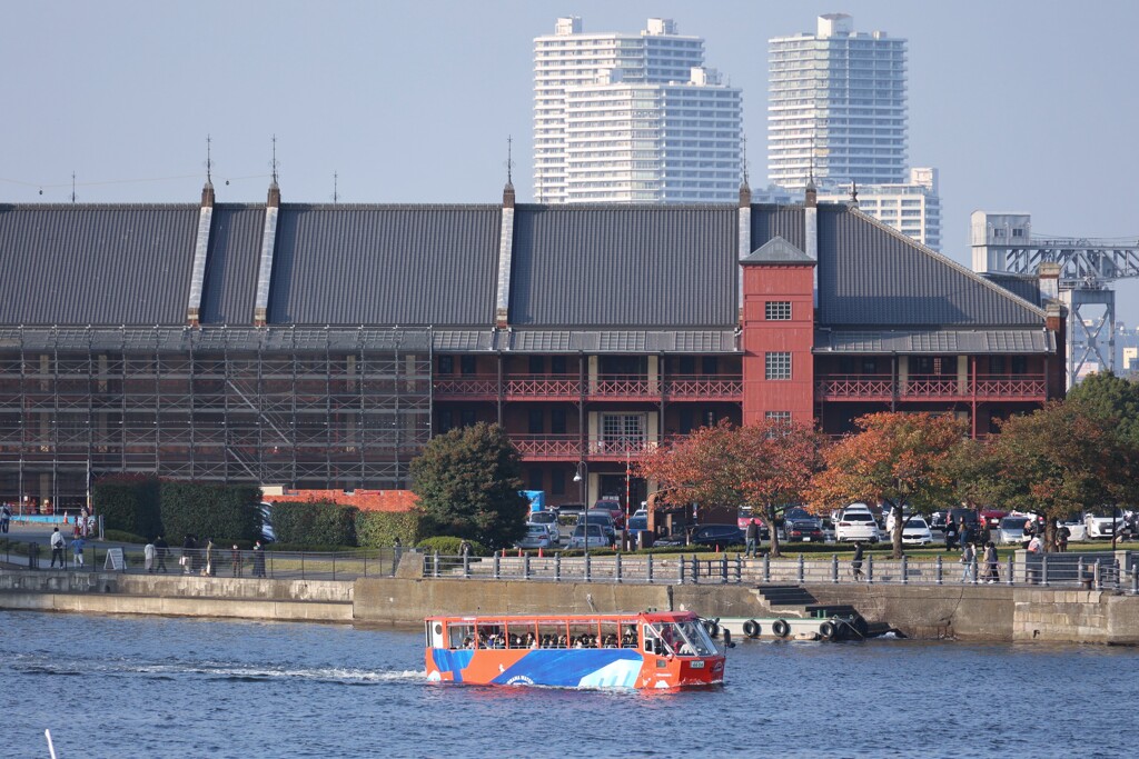 スカイダック
