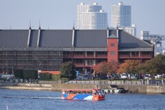 スカイダック
