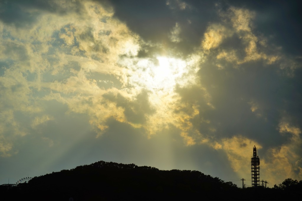 ソニーα7R＋キヤノンNew FD75-200mmF4.5