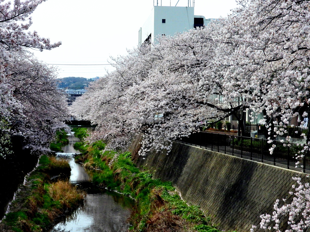 稲城市役所前