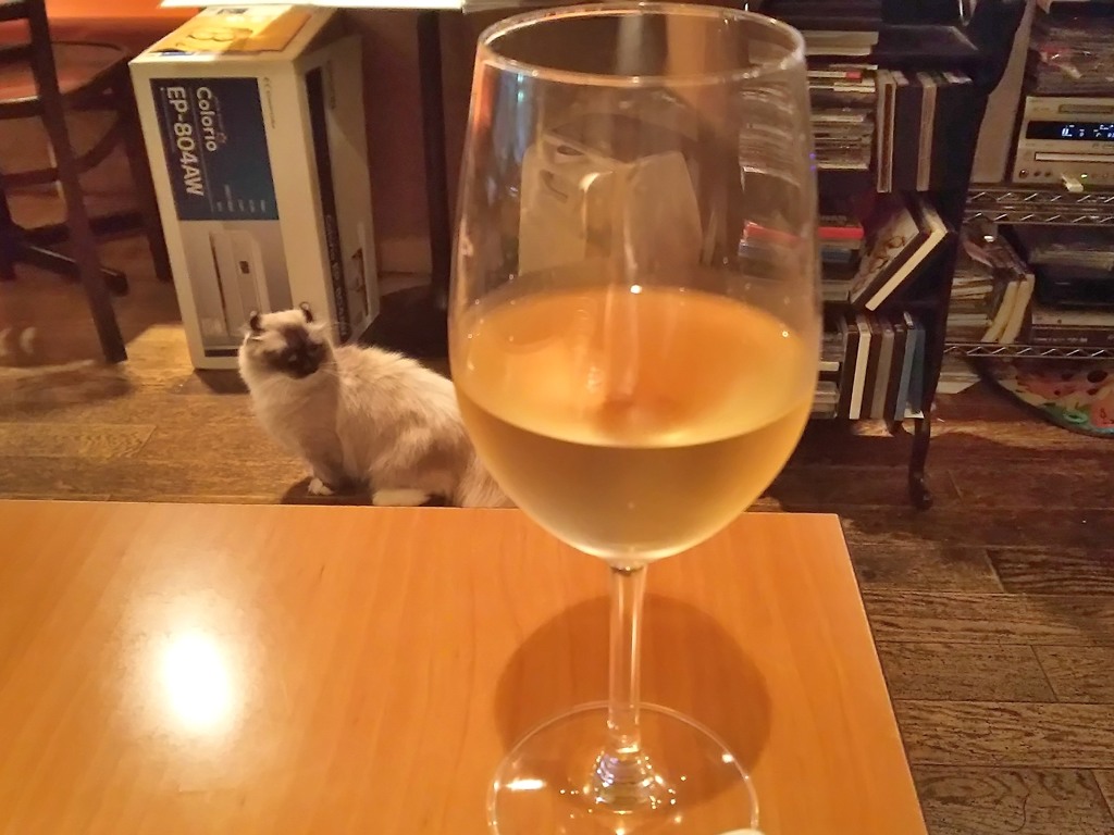スマホですまん