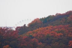 紅葉山