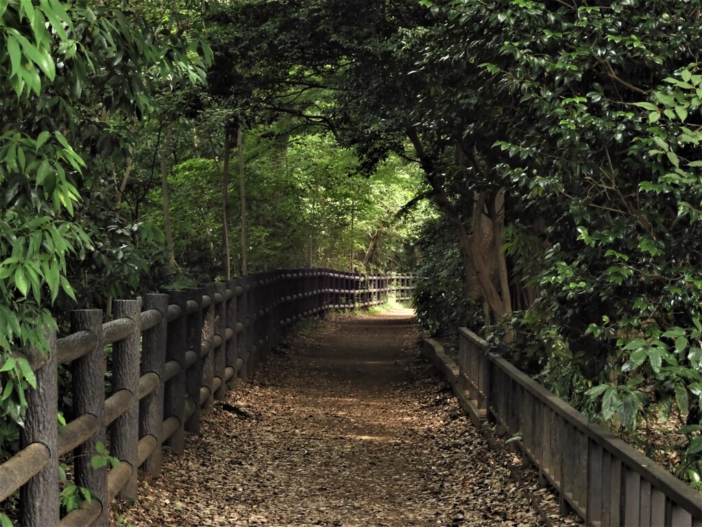 玉川上水遊歩道