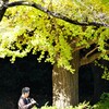 東門の演奏者