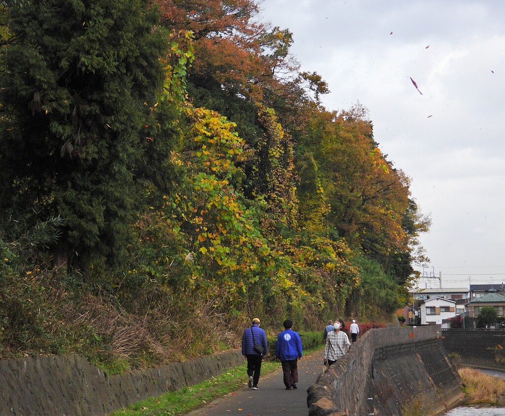 驚いて見上げる人も