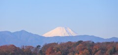 師走の富士