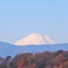 師走の富士