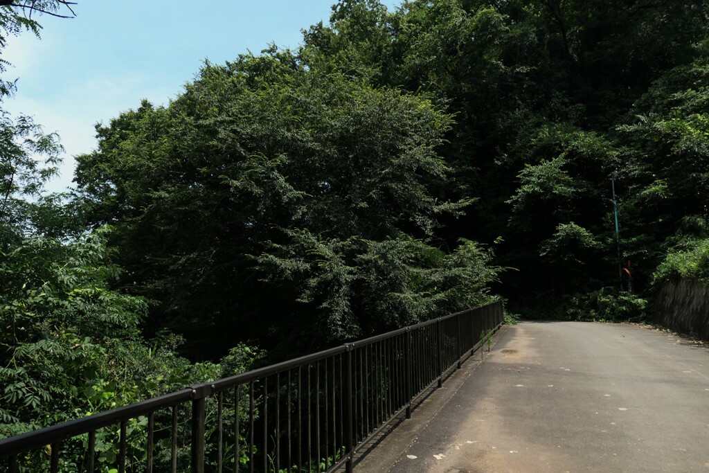 橋の向こうは彼岸