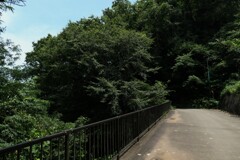 橋の向こうは彼岸