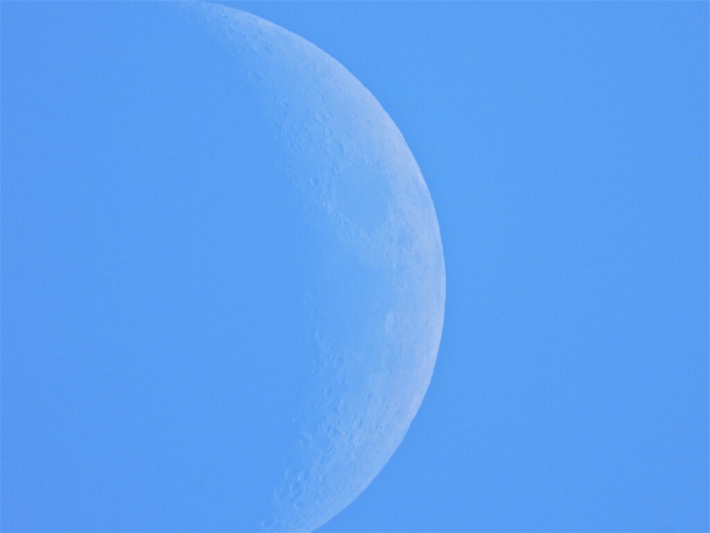 真昼の三日月