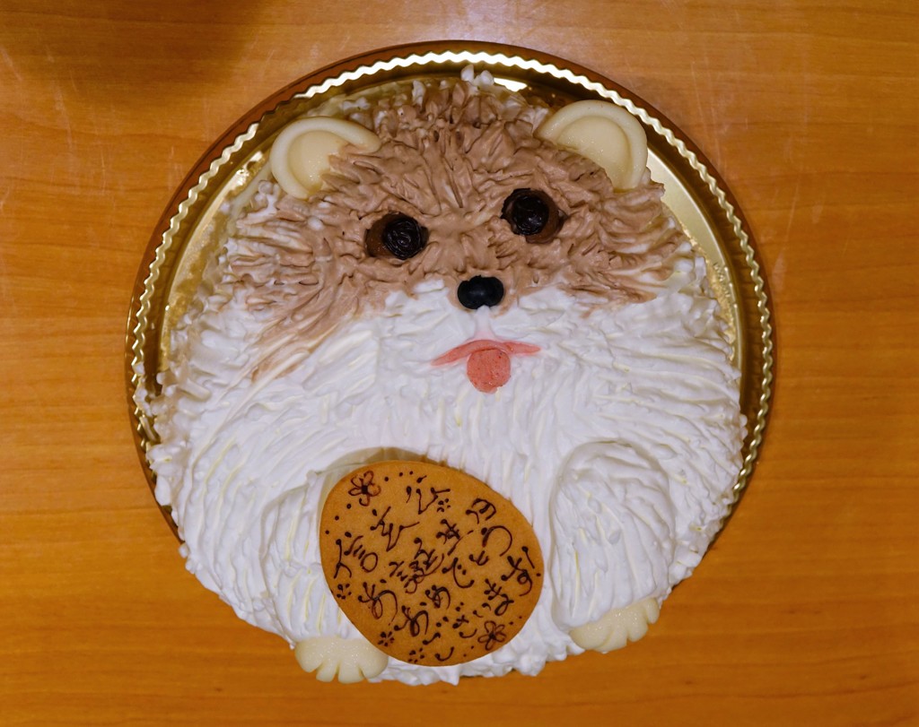 信玄公のバースデーケーキ