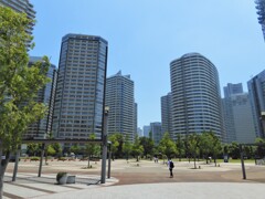 みなとみらいの高層マンション群