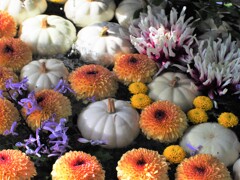 龍水の花