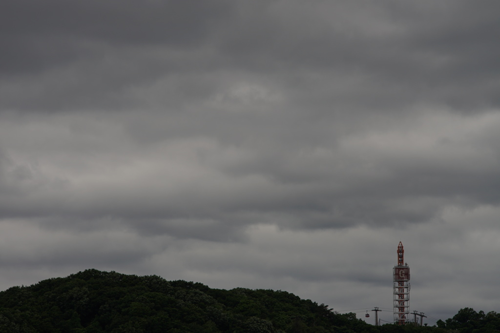 雨上がりの新緑