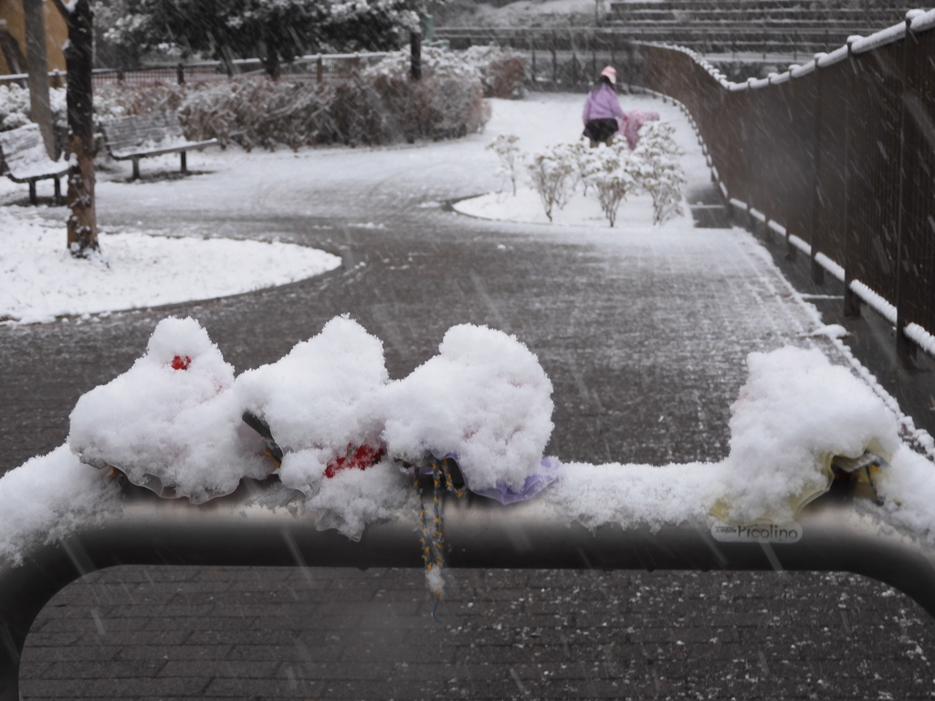 スズメはすでに雪だるま