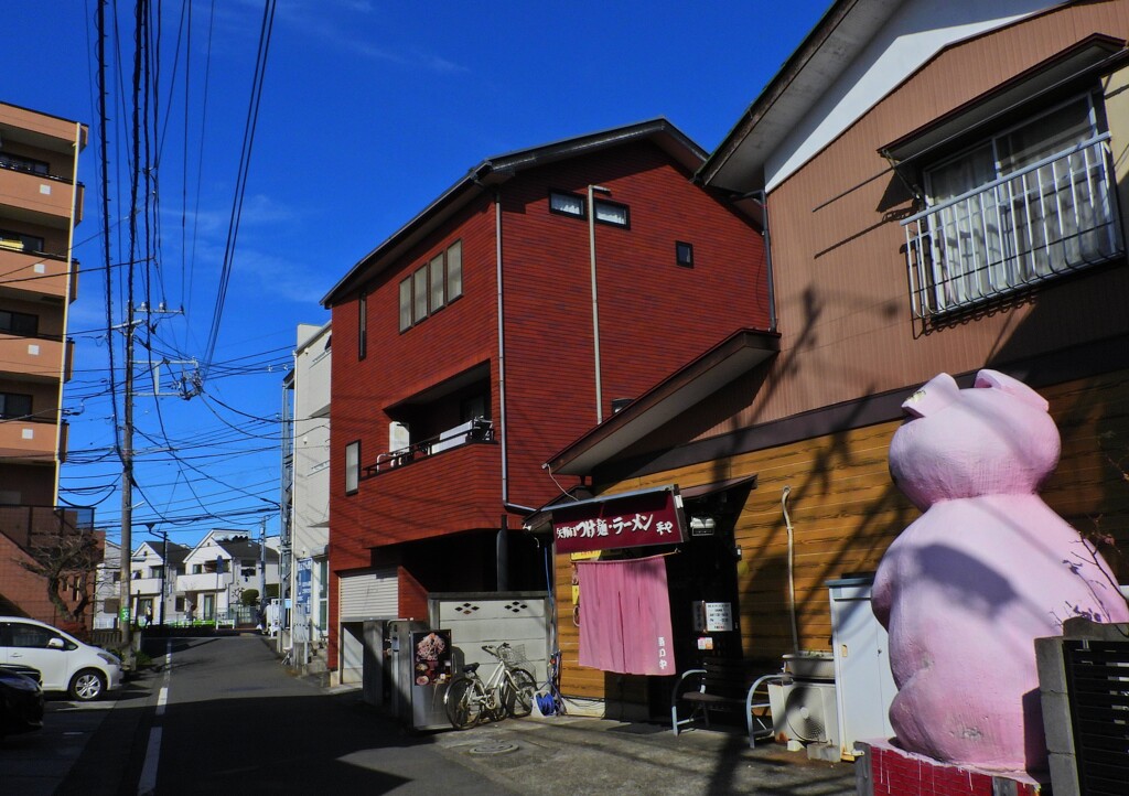 豚のいる風景