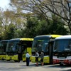 朝から観光バスで満車