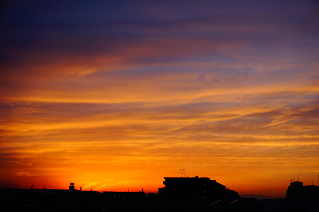 久しぶりの夕焼け