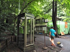 緑の公衆電話