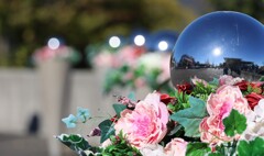よみうりランド前の花飾り