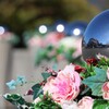 よみうりランド前の花飾り