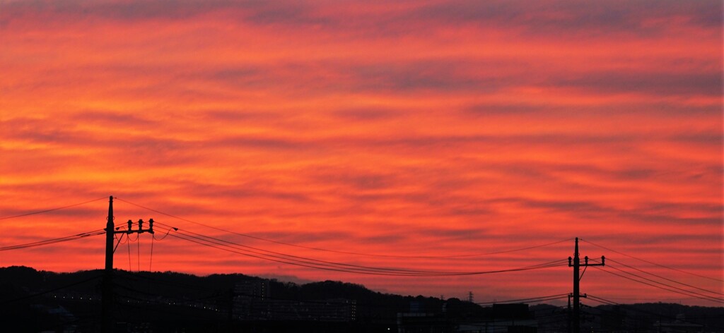 赤の空