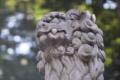 玉ボケも良い感じ