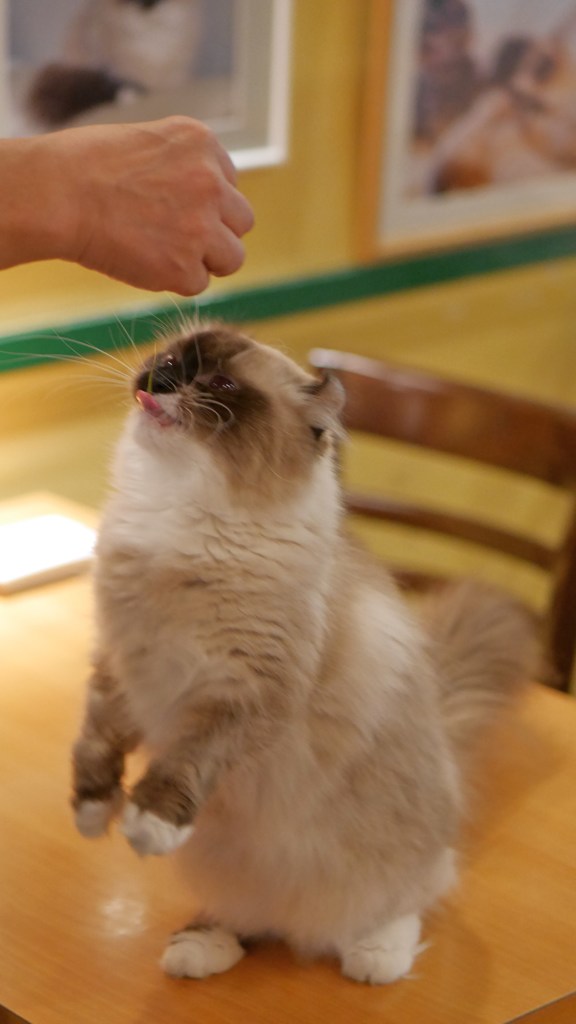 おーい