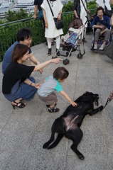 港の見える丘公園