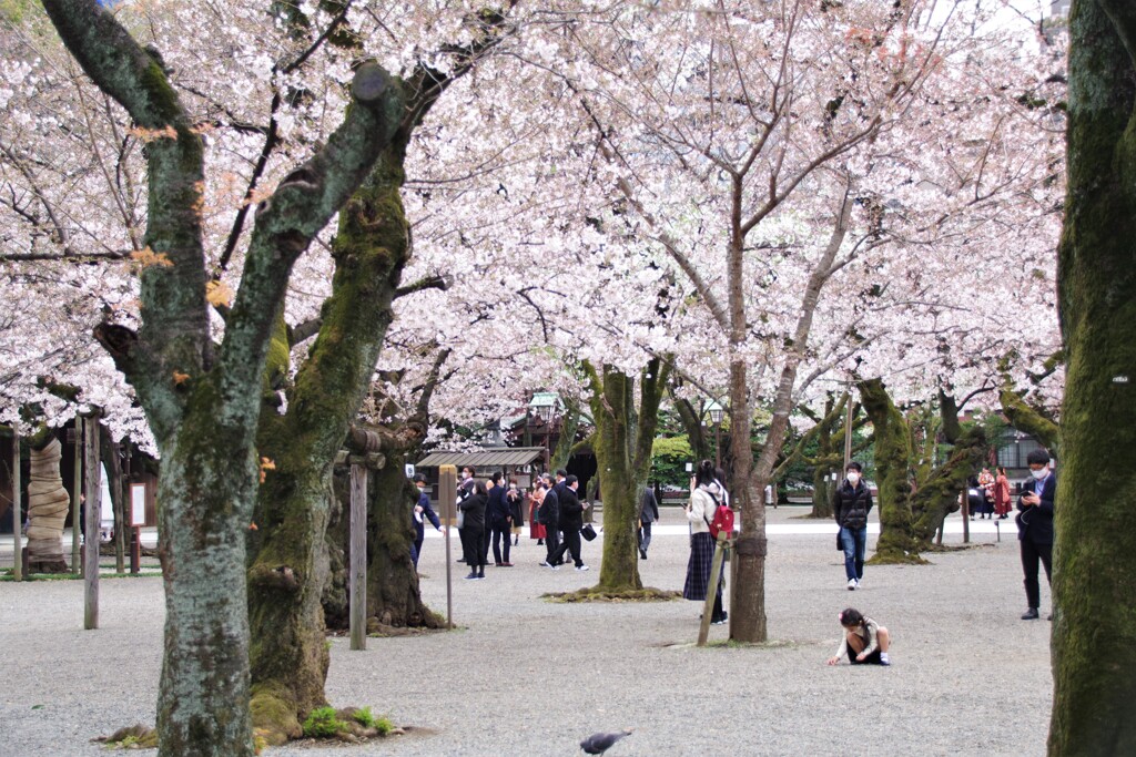 お姉ちゃんは寂しいんです