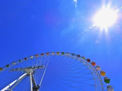 大観覧車