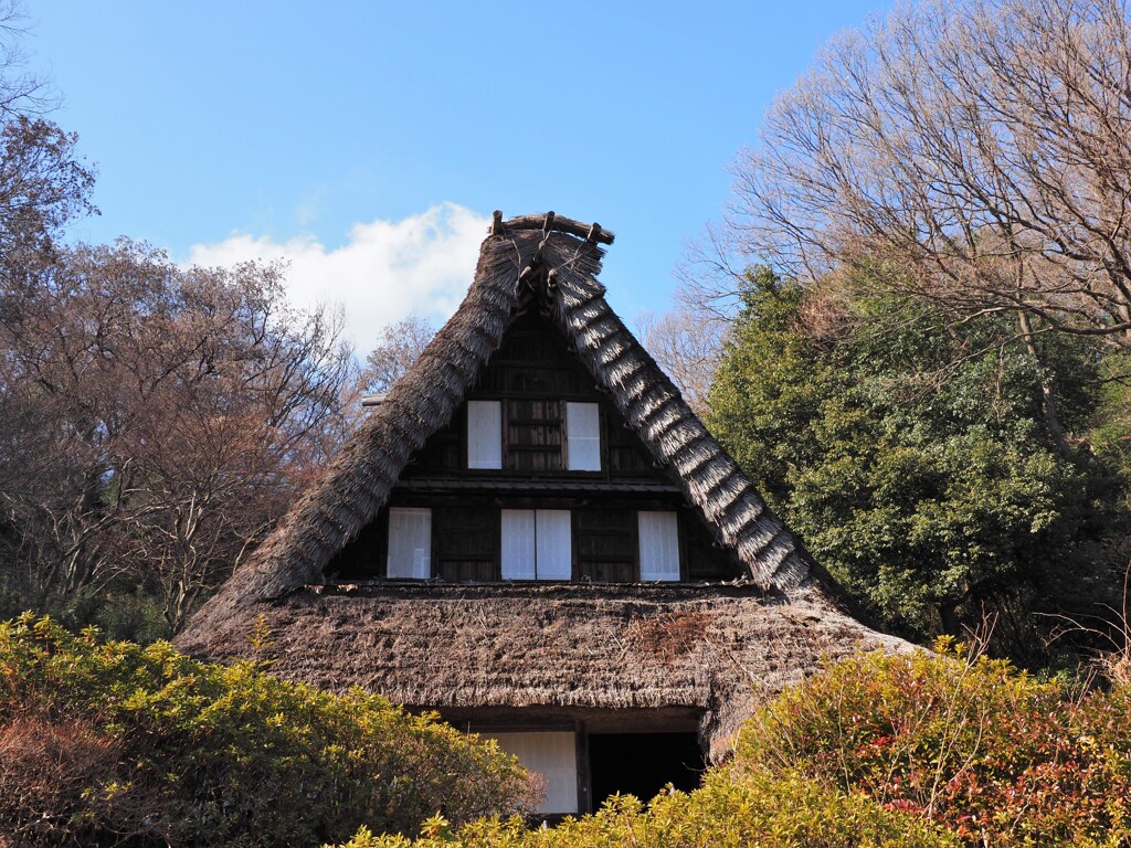 越中五箇山の合掌造り